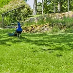 3 Bed In Windermere Oc-f31899 Prázdninový dům *