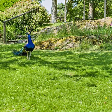 3 Bed In Windermere Oc-f31899 Casa vacanze